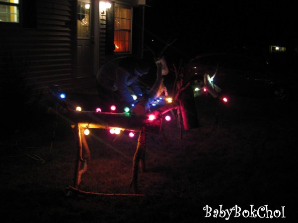 rudolph1