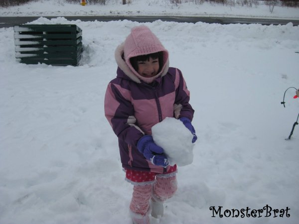 snow1