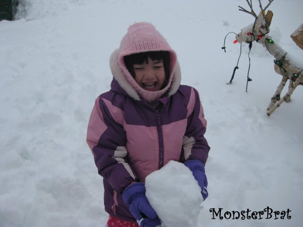 snow2