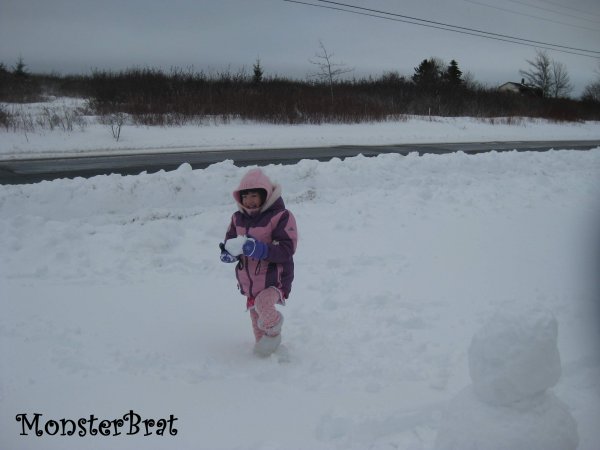 snow3