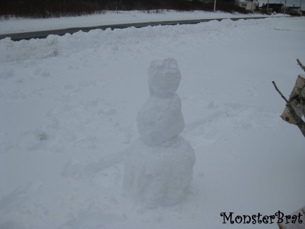 snow6