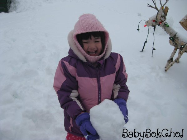 winter