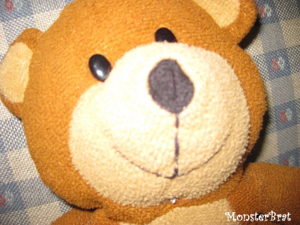 teddy