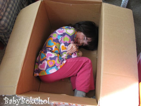 boxchloe1