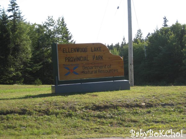 ellenwood