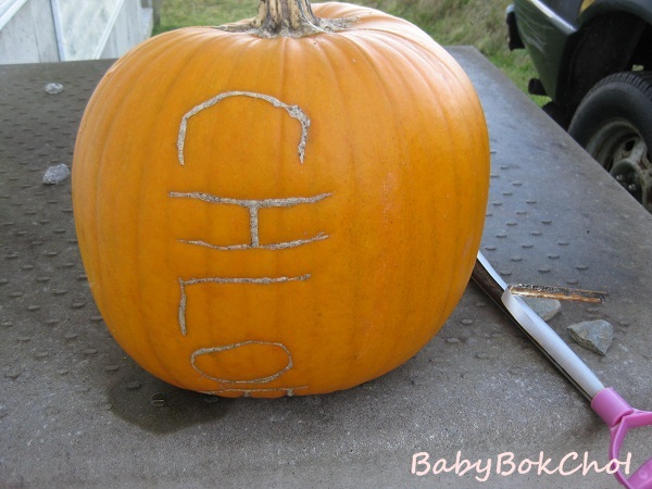 halloween2
