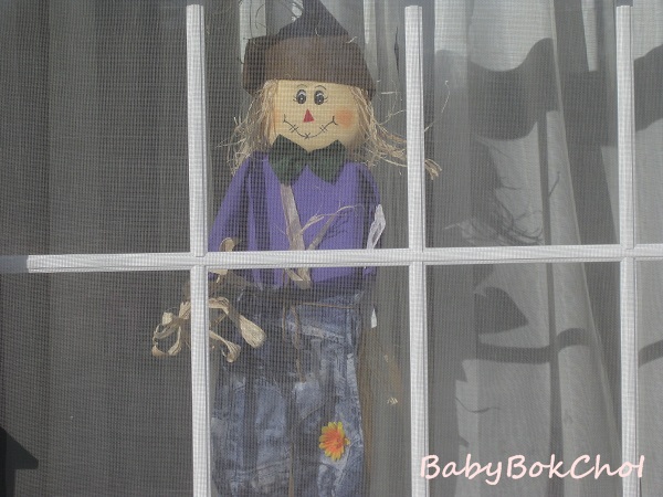 halloween4