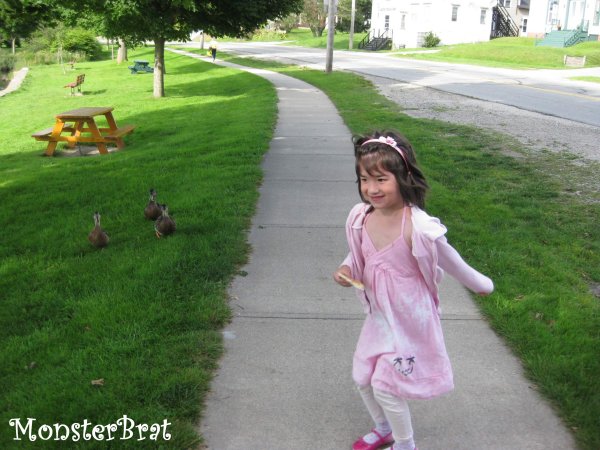 ducks3