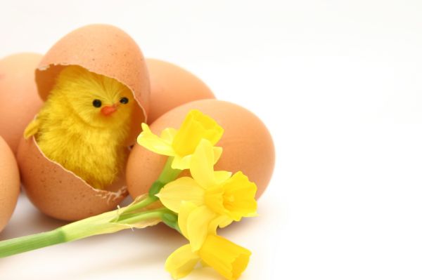 easter